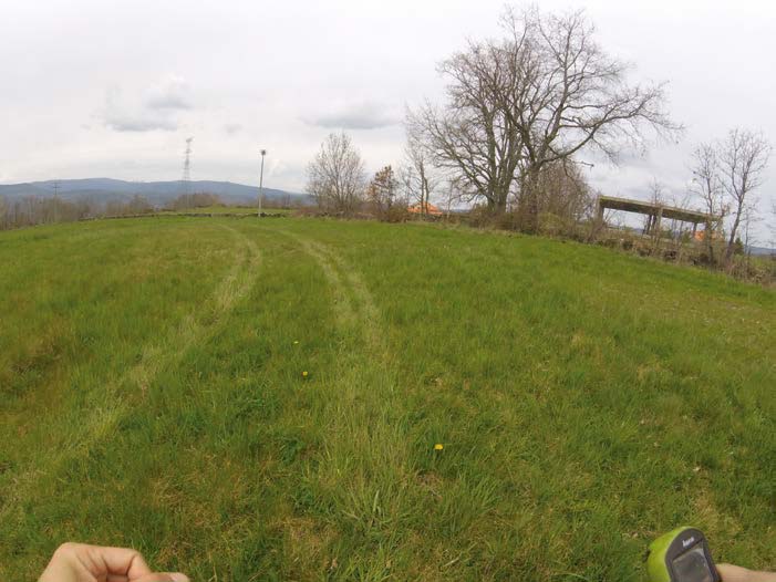Ruta de Pinza
