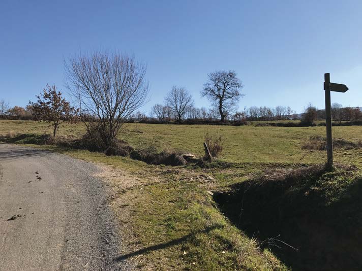 Ruta de Pinza