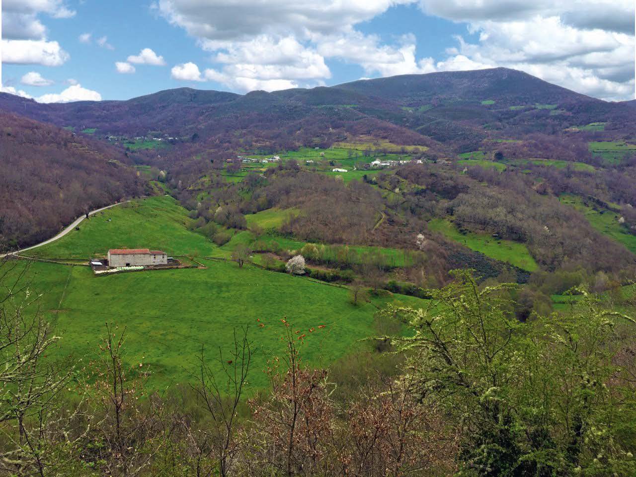 Ruta de Pinza