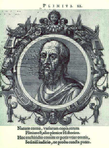 Plinio o Vello (23 d.C-79 d.C)