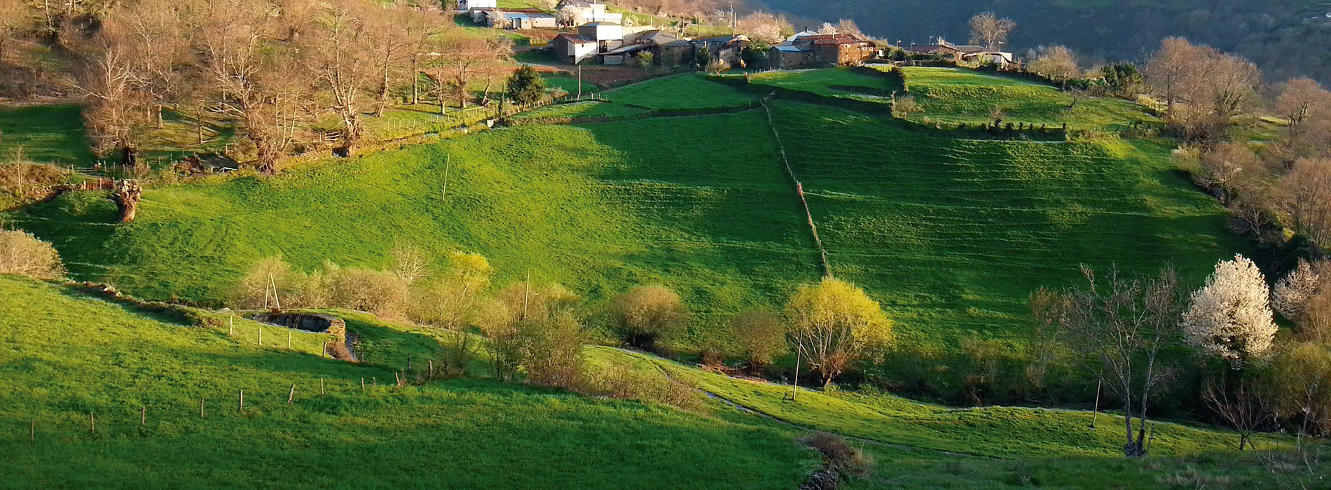 Rutas de sendeirismo